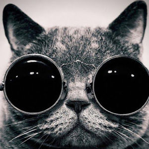 Meet your Posher, Sierra